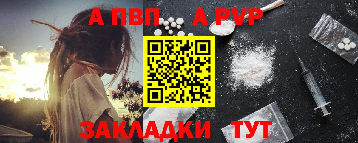 A PVP СК  Альфа ПВП СК КРИС  Вход с VPN  Анжеро-Судженск 