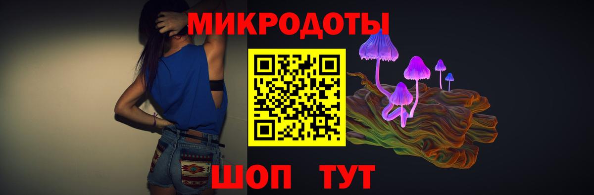 Галлюциногенные грибы Psilocybe Анжеро-Судженск